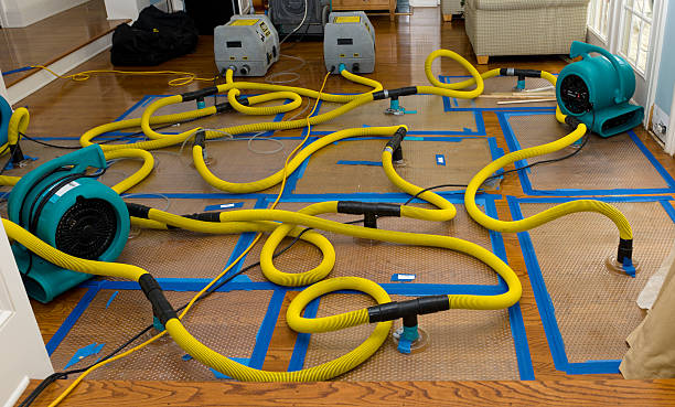 Professional Flood Damage Restoration technician working in Mattapan, MA
